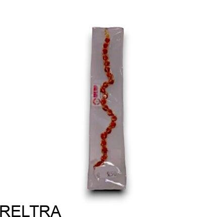 RAKSHA BANDAN