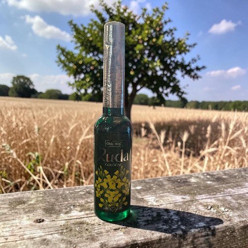 Ruda Cologne Ruda Cologne is a traditional herbal fragrance made from rue (Ruta graveolens), a plant long valued for its protective and cleansing properties. This… RUDA OHLI WAY COLOGNE 221 ML
